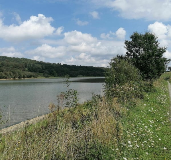 Balade autour du plan d 'eau, aux marches de Bretagne - Emmanuel - 1