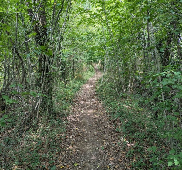Randonnée VTT, les 27,5km de Saint-Félix - Saint-Félix - 1