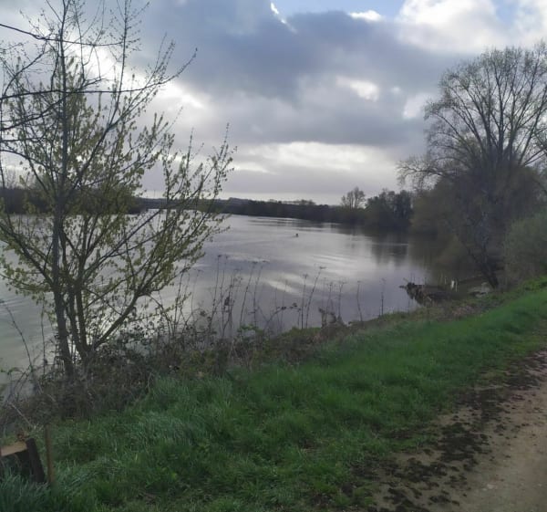 Balade Podensac entre Garonne et vigne - Podensac - 1
