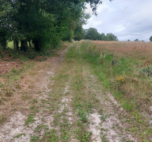 Balade par les chemins près d'une carrière sur Condéon - Condéon - 1