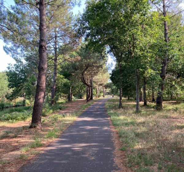 L’authentique depuis Cugnes par Navarrosse à vélo - Biscarrosse - 1