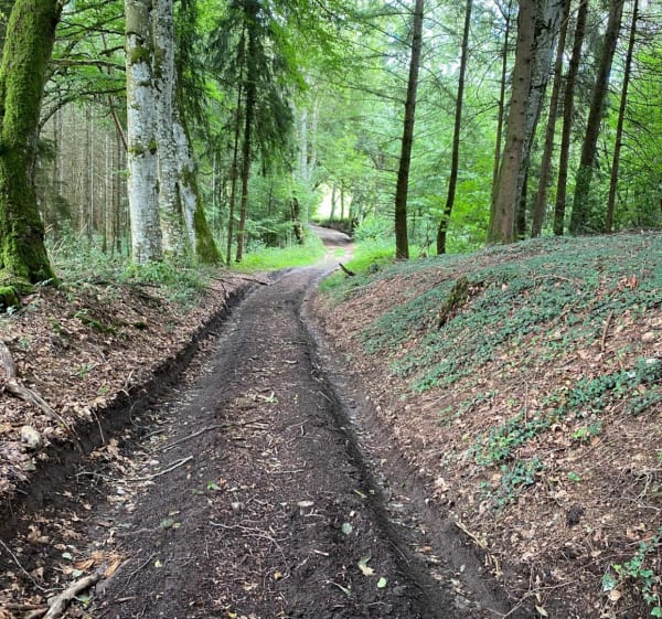 Balade a Saint-Julien-la-Geneste par le Bois de Pionsat à VTT - Saint-Julien-la-Geneste - 1