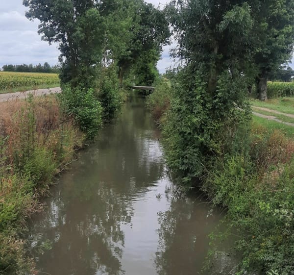 Sentier des Ponceaux à La Ménitré - La Ménitré - 1