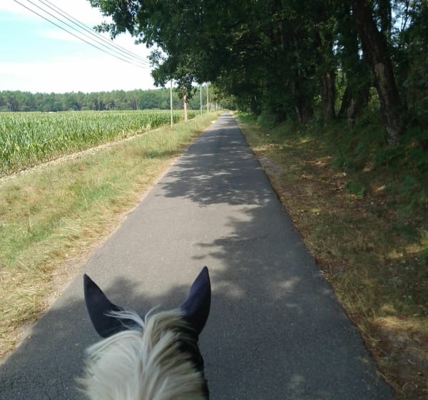 Petites routes de Saint-Geours-de-Maremme vers l'Adour - Saint-Geours-de-Maremne - 1