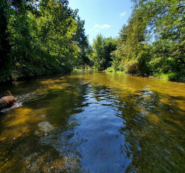 Entre Saône et Tille - Les Maillys - 1