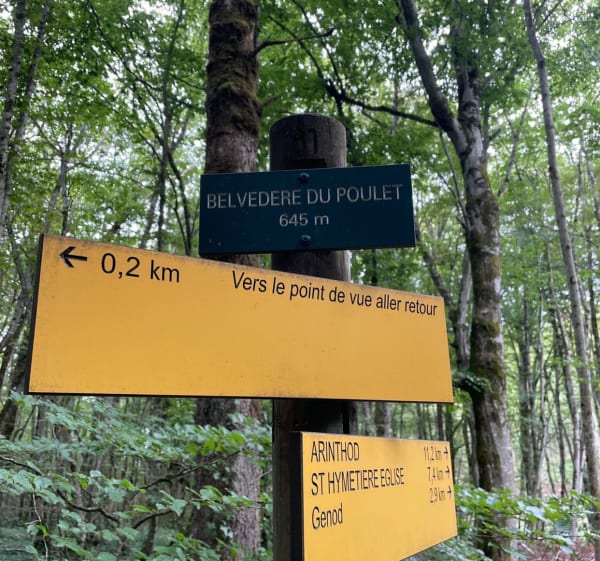 Belvédère du Poulet - Genod - 1