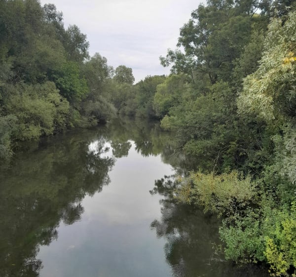 Faverney / Monthureux-lès-Baulay / Faverney - Faverney - 1