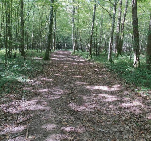 L'ouest troyen, vignobles, champs et forêts - La Rivière-de-Corps - 1