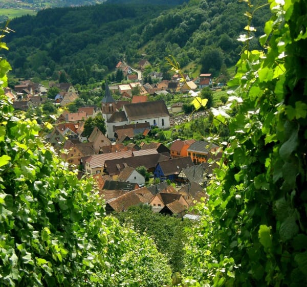 Petite balade de Sélestat à Villé ! - Sélestat - 1