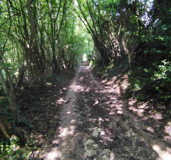 Le Mont Vert au départ d'Alquines - Alquines - 1
