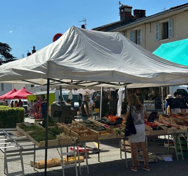 Balade le long des quais, et cuves de Sassenage. - Sassenage - 1