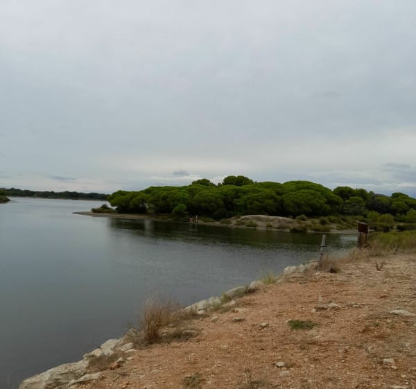 Tour de la pinède du Boucanet - Le Grau-du-Roi - 1