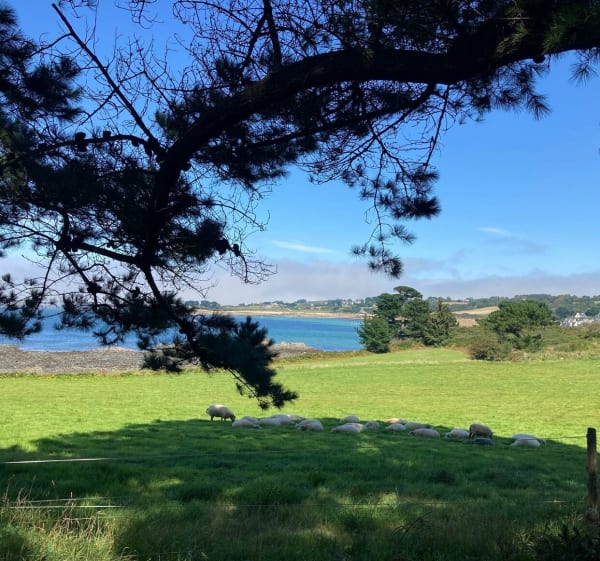 Belle balade entre la presqu’île et la hanse de Barnenez, jusqu’au Cairn - Plouezoc'h - 1
