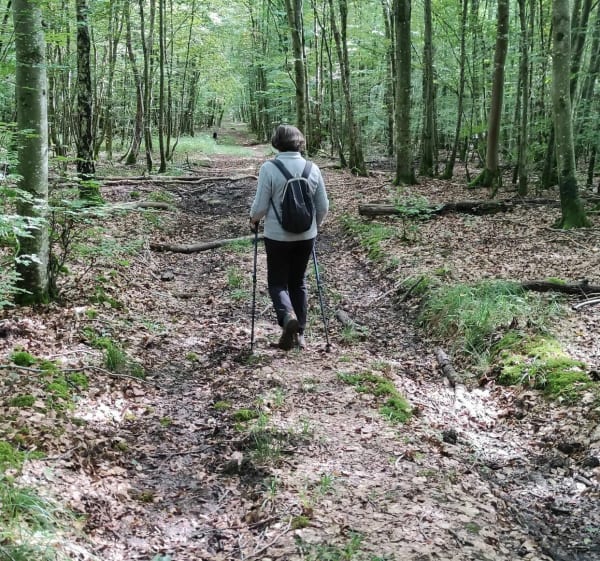 Forêt de Sampigny, sur les traces de Guess - Michel - 1