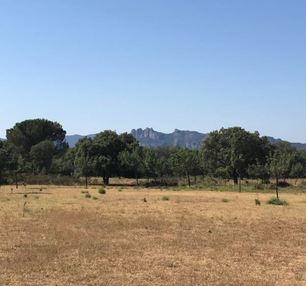 Au rythme des cigales à Roquebrune-sur-Argens - Stéphanie - 1