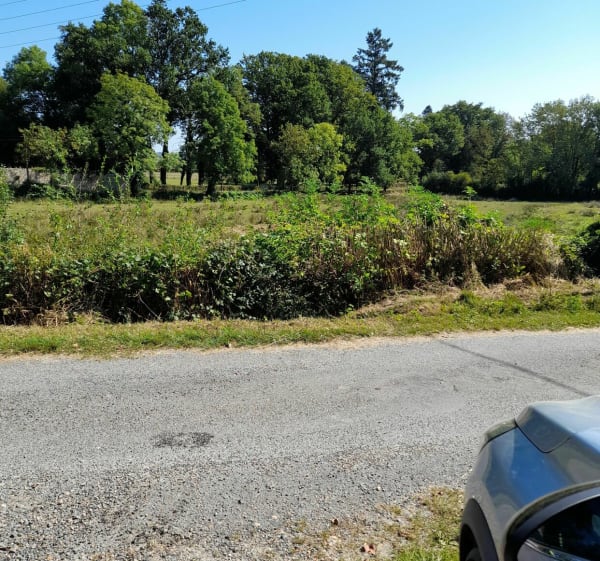 Très belle marche dans les bois au-dessus de Souve - Thil-sur-Arroux - 1