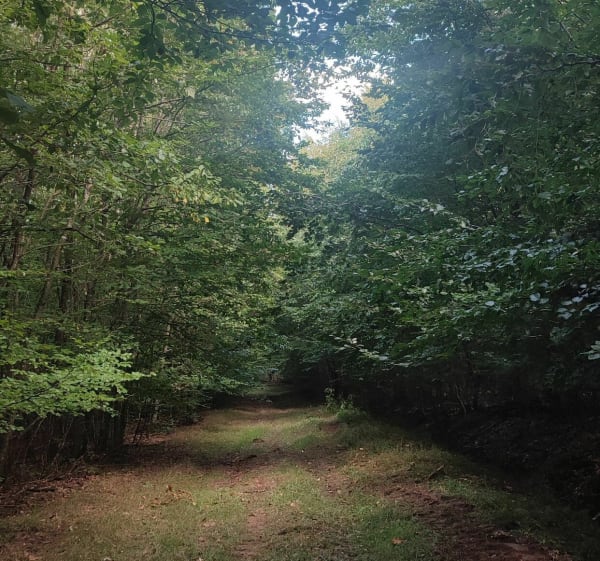 Off road secteur Mackwiller-Adamswiller - Mackwiller - 1