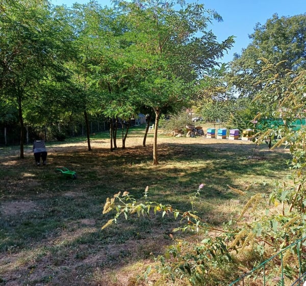 Marche pédestre à Baron par Bois de Pringues - Baron - 1
