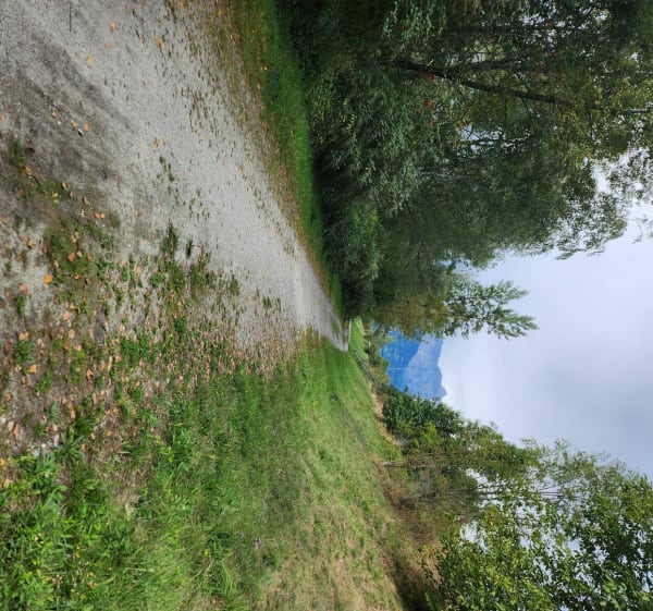 Balade dans la plaine : Chedde / Lac de Passy - Passy - 1