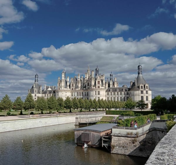 Parc du château de Chambord - Chambord - 1