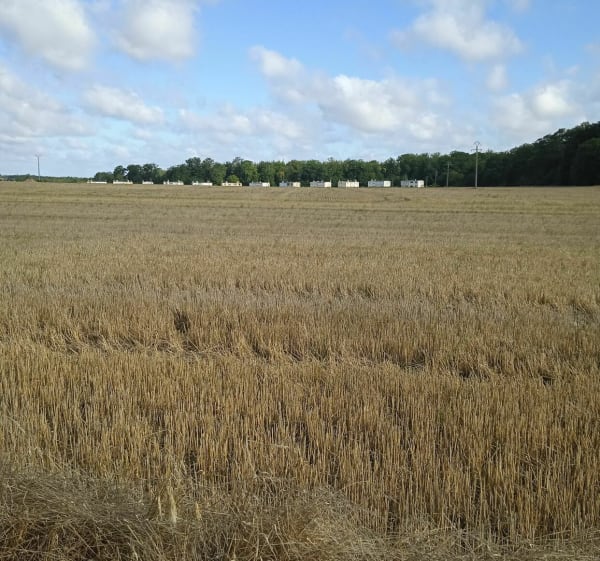 Balade à Saint-Sébastien-de-Morsent - Pierre-Yves - 1