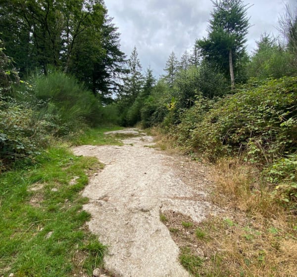 Single Tracks - la Pierre Branlante - Arboretum - La Jonchère-Saint-Maurice - 1