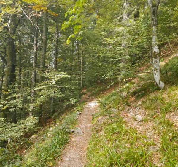 Maison de la nature du Rothenbach depuis le col de Bramont - La Bresse - 1