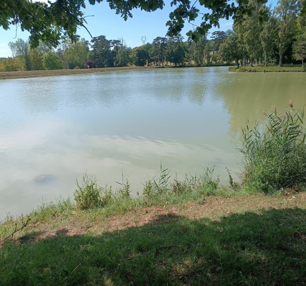 Petite balade de St-Paulet au Lac de Lenclas - Saint-Paulet - 1