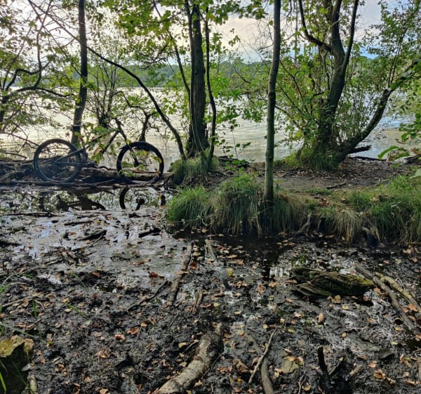 Petit tour du remblai de la Mare à Goriaux depuis Hérin - Hérin - 1