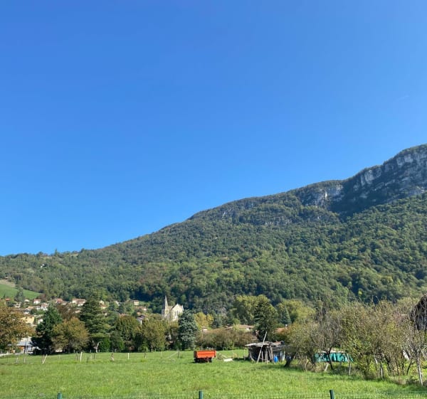 Trail du Buis 2023 en marche nordique - La Buisse - 1