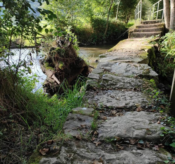 Un bout de vélo Francette entre Ambrière les  Vallées et Flers - Ambrières-les-Vallées - 1