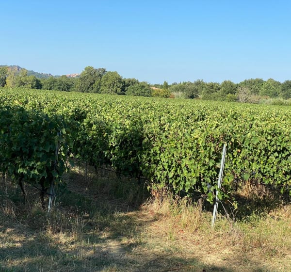 Boucle Roussillon, Gargas, Saint-Saturnin - Roussillon - 1