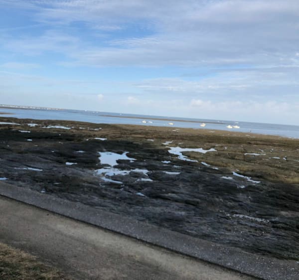 Camping La Guichardière, richting La Pointe St-Gildas - La Plaine-sur-Mer - 1