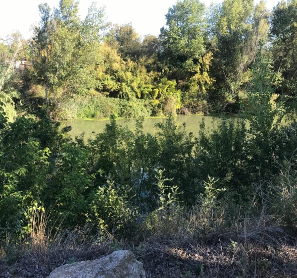 Belle balade entre Salles d’Aude et Coursan - Salles-d'Aude - 1