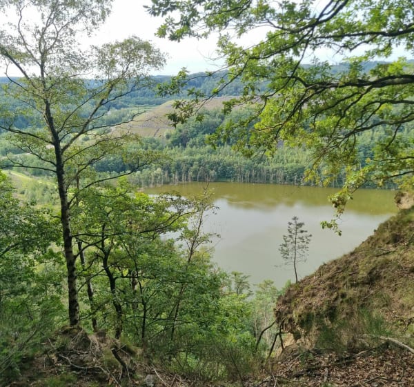Balade à l'ancienne carrière - Creutzwald - 1
