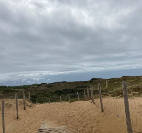 Entre forêt, mer et marais à Olonne-sur-Mer - Les Sables-d'Olonne - 1