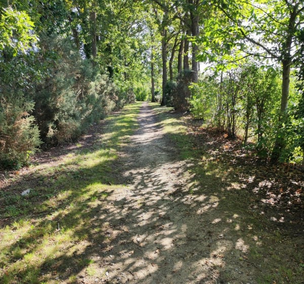 Chemin, ombre, soleil ️ avions vaches autour de Saint-Jacques-de-la-Lande - Saint-Jacques-de-la-Lande - 1