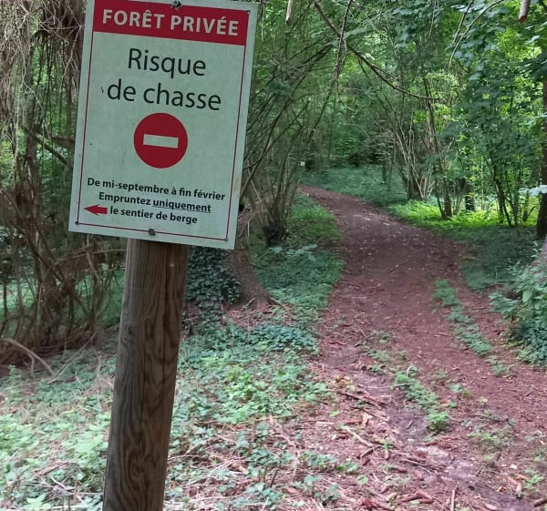 Promenade au bord de l'eau de la Boucle de la Moselle - Liverdun - 1