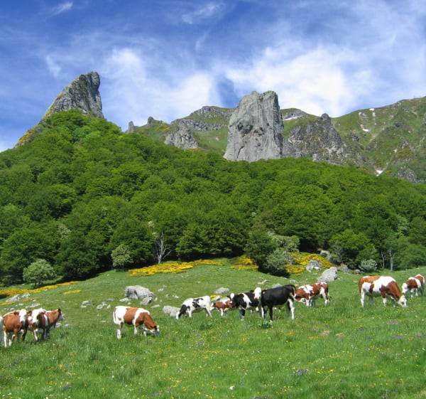 Puy de Sancy par la Vallée de Chaudefour - Chambon-sur-Lac - 1
