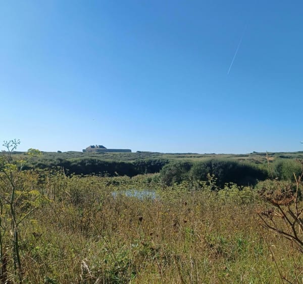 Le petit Loch et le Fort - Guidel - 1