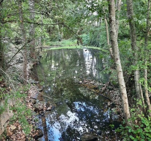 Parcours "les 4 rivières" Pouzy-Mesangy 03320 - Pouzy-Mésangy - 1