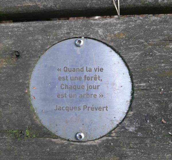 Balade ludique à la Pinatelle du Zouave - Sanssac-l'Église - 1
