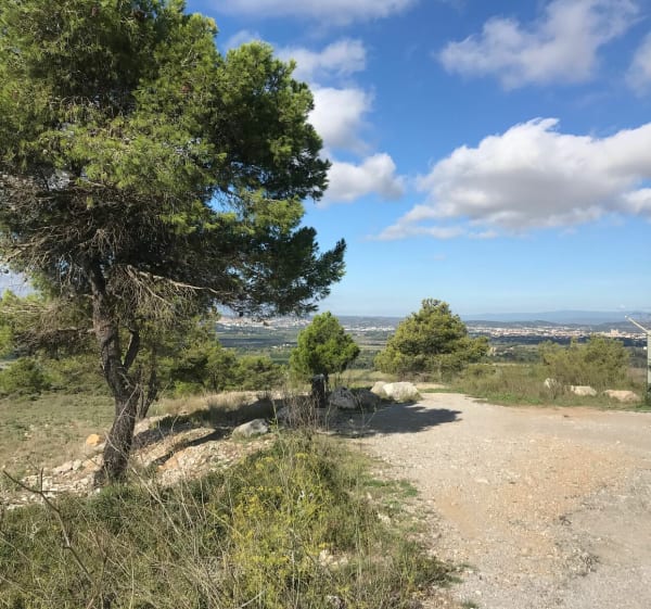 Belle randonnée dans la Clape - Narbonne - 1