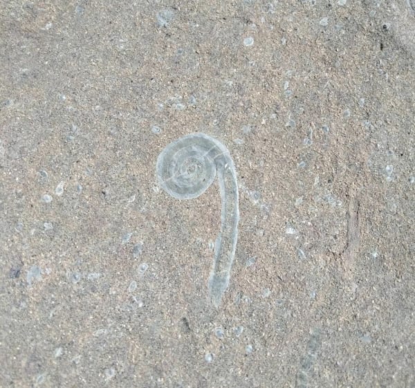 Geologisch pad van de Platé-woestijn - Magland - 1