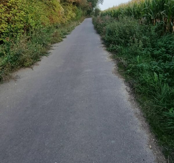 Rando à travers les plaines de Ruitz et d'Olhain - Ruitz - 1