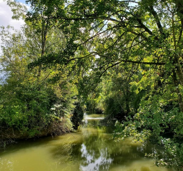 Balade bucolique au gré de la Vingeanne - Beaumont-sur-Vingeanne - 1