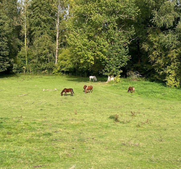 Boucle du Perchay - Le Perchay - 1