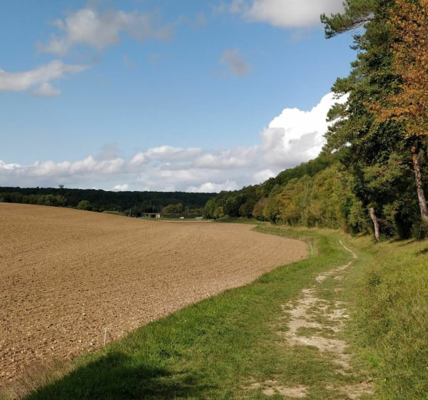 Arnières - Entre champs et forêts - Arnières-sur-Iton - 1
