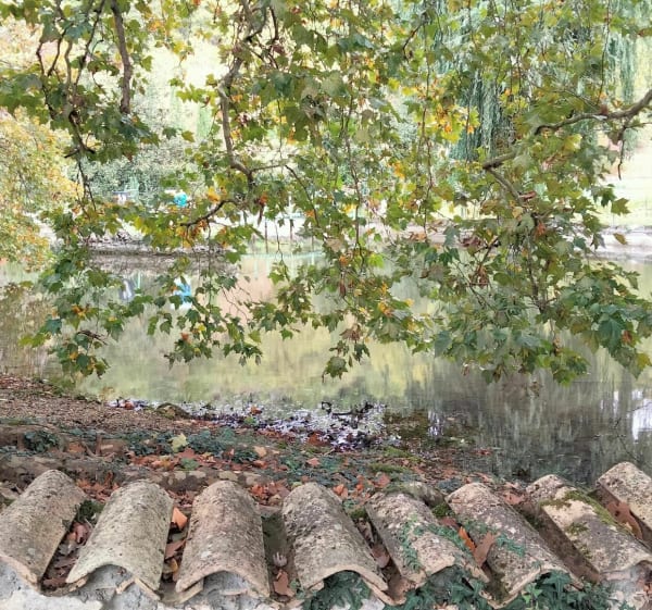 Vallée de la Boëme - Mouthiers-sur-Boëme - 1