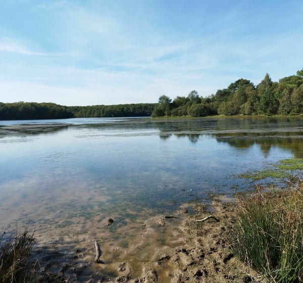 Autour du lac de Trémelin - Iffendic - 1